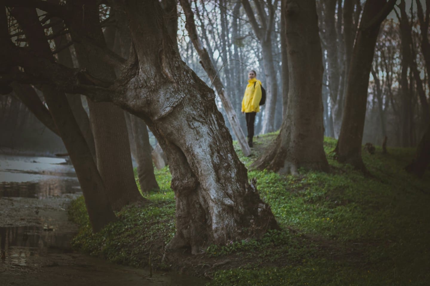 Persona con giacca da pioggia gialla cammina su un sentiero nel bosco.